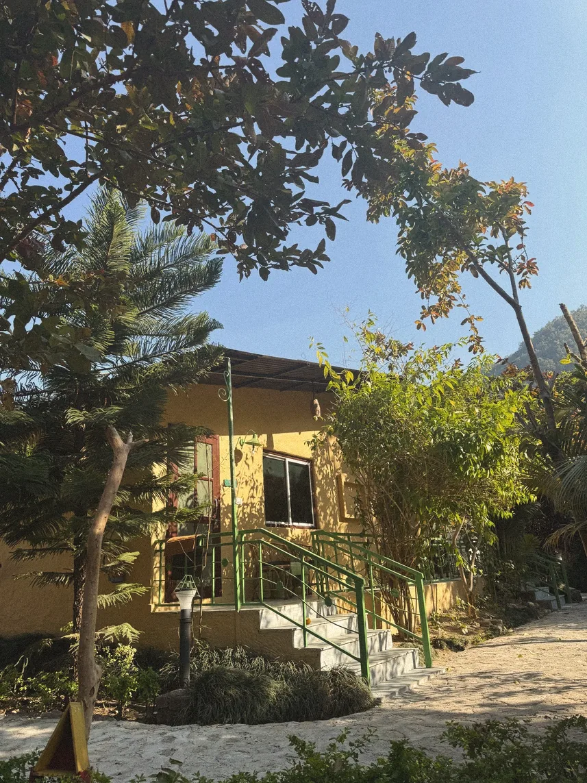 Cottage with green railings and stone steps in morning sun