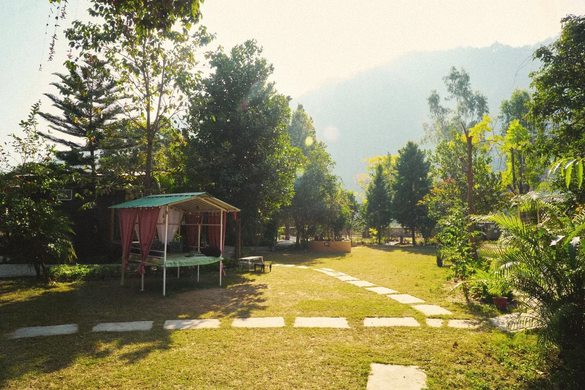 Machaan on a sunny lawn with a stone path leading through the garden