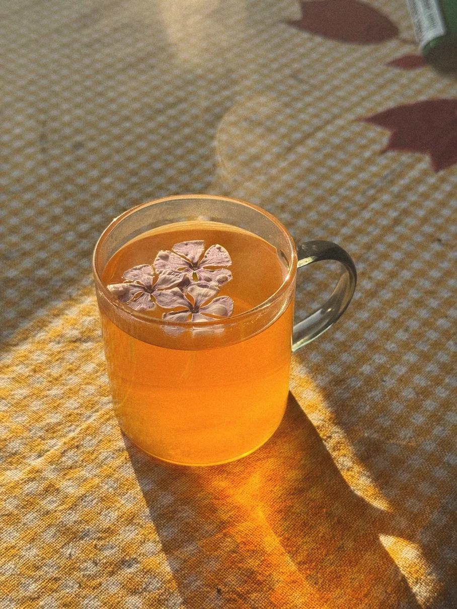 Glass cup of golden herbal flower tea on a checked cloth in sunlight